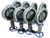 Marine Centric Flange Type Spiral Manual Operated Butterfly Valve(Type 1FD)Dalian Standard