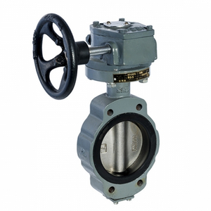 Marine Centric Wafer Type Worm Gear Operated Buterfly Valve(Type 1W) Dalian Standard